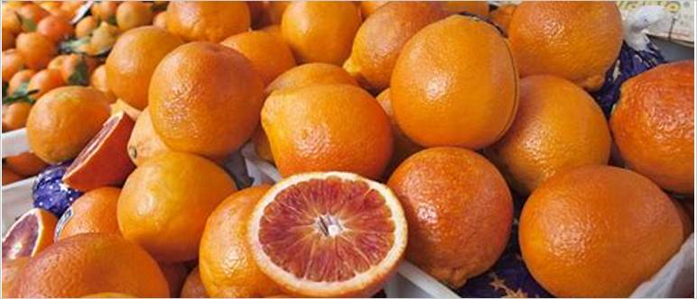 Season for blood oranges